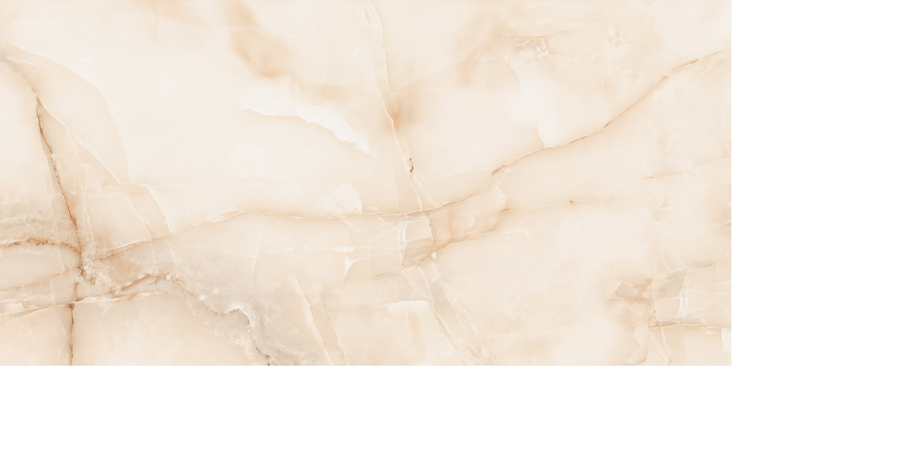 Bodenfliese Onyx Crema hochglanz 120x60 cm