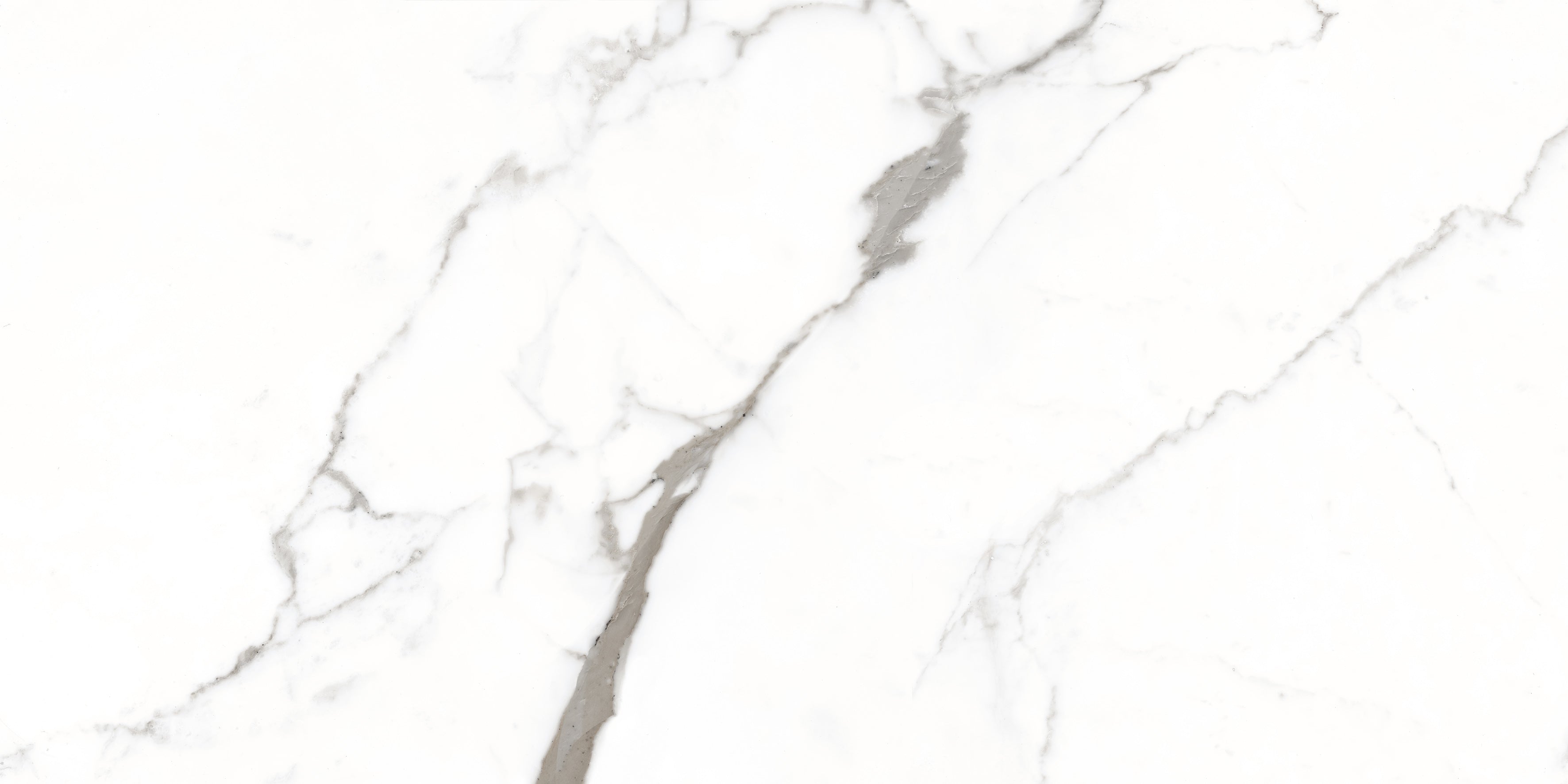 Bodenfliese Satvario Fancy Grey hochglanz 120x60 cm