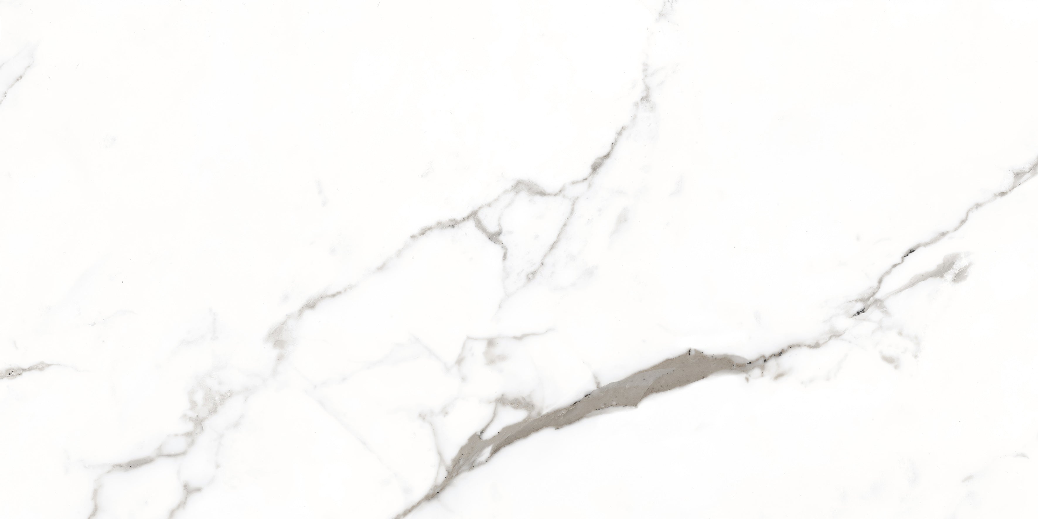 Bodenfliese Satvario Fancy Grey hochglanz 120x60 cm