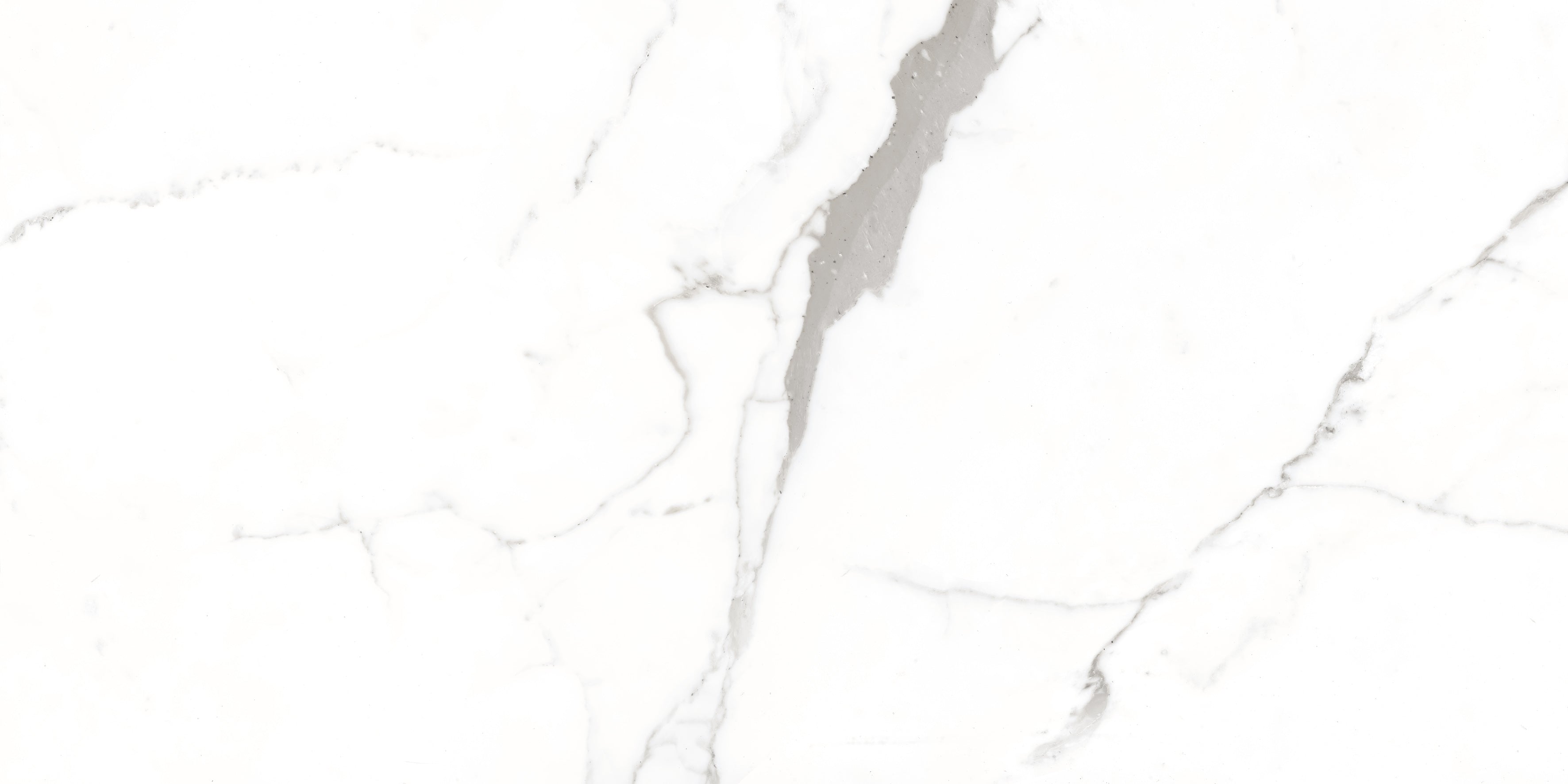 Bodenfliese Satvario Fancy Grey hochglanz 120x60 cm