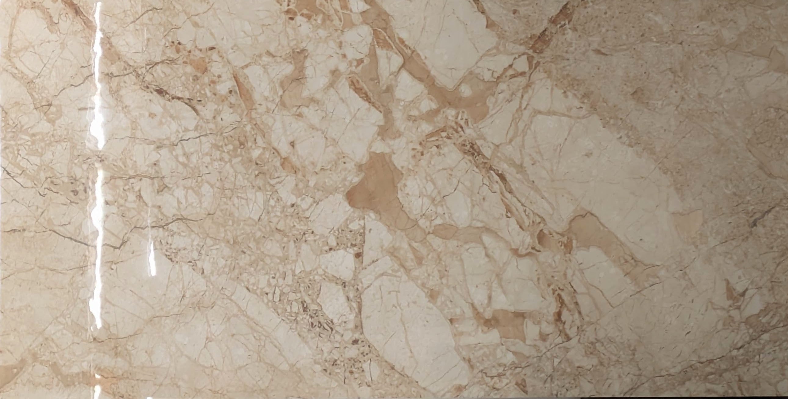 Bodenfliese Breccia Aurora hochglanz 120x60 cm