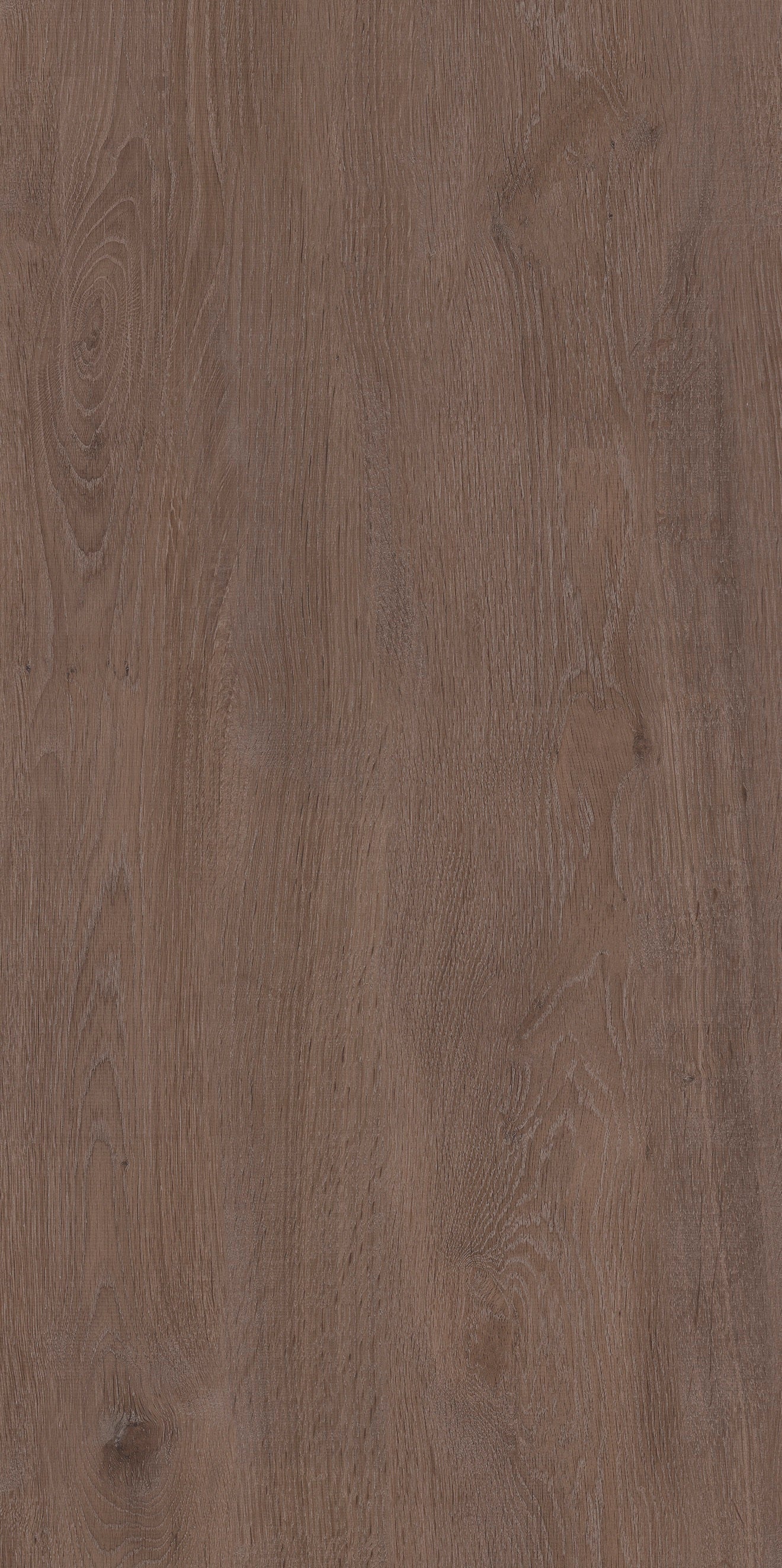 Terrassenplatte Woodlight Marrone 40x80x2 cm matt